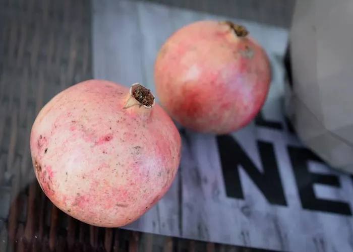דירה Rodia וולוס